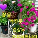 전원모텔 이미지