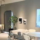 마론애견 | [광주]애견동반가능 수완지구 신상 카페 혼자가기좋은 디저트맛집 메종세컨드