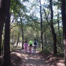 광산구-151 이미지