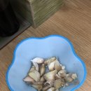 란주천면관 태평역 메뉴와 후기