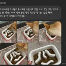 돌담동물의료센터 이미지