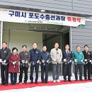 포도구미 이미지
