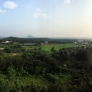 포유콘도 이미지