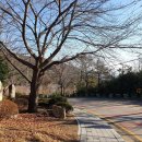 향파 이주홍 문학비 이미지