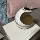 이큐어(주) | 벨로큐어 비오르바 한달 후기 (뱃살·팔뚝·다리 라인 진짜 달라짐)