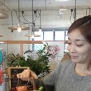르메이플라워