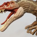 사르코수쿠스 이미지