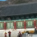 모악산관광단지 Daum카페