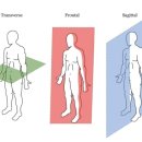어베럴짐 이미지