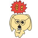 샌디오븐 이미지