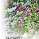 풍금 이미지