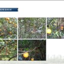 (주)네이처닥터 이미지