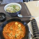 [제주여행]3박4일 제주도 맛집탐방 해안도로 마스터 돌고래, 노루와의 만남까지?(with.우리집 여신님)