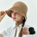 페르시안 캣 이미지