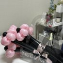 벌룬플라워 이미지