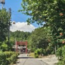 구릉(오성) | 연산향교, 논산지역 배롱나무꽃 7곳 릴레이 탐방!