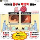 라이나생명, 금감원 혼란 틈타 보험업세칙·가이드라인 위반 영업 이미지