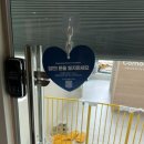 꼬모댕 프라이빗 애견호텔 이미지