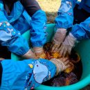 길곡초등학교 이미지