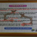 강복농장 네이버블로그