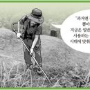 주식회사 효드림