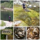 금수펜션(산장) 이미지