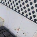 씨유 대전송림마을점 | 대전이사 퇴실청소 하기동 송림마을4단지 쓰레기 폐기물 수거