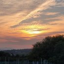 해넘이농장 이미지