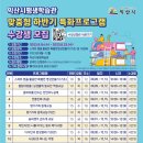 스마트 앱을 활용한 특별한 영상 만들기(기초) 이미지