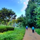 정발산로 이미지