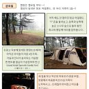 캠핑아일랜드 이미지