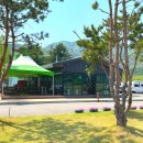 위드 | 서울근교글램핑 춘천 리버위드글램핑 솔직방문후기