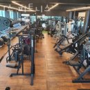 웰니스 피트니스 이미지