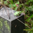 원터 경로당 이미지