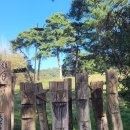 호수길걷기명상 이미지