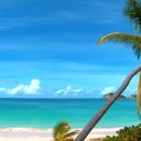 파도소리 이미지