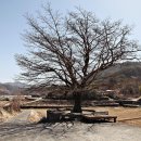 서당마을