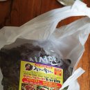 정가네족발 이미지