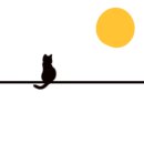 깐깐한족발송천점 이미지