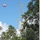 백용기농장 이미지