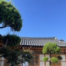소나무스테이 | 경주 한옥스테이 더화랑 소나무 C 내돈내산 2박 후기
