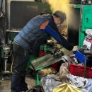 대일견인 이미지