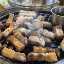 제주도락 네이버블로그