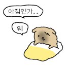 신세계분식 네이버블로그