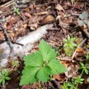 구름동산 이미지