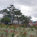 경상남도 산청군청 이미지