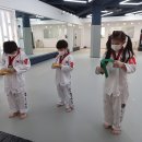 용인대 월드 태권도장 이미지