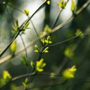 경남여자중학교 이미지