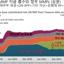 최종대부자에서 최종차입자로 바뀐 이유 이미지