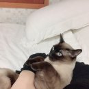 알콩달콩 이미지